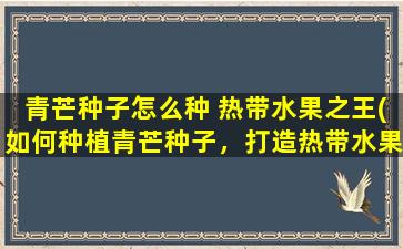 青芒种子怎么种 热带水果之王(如何种植青芒种子，打造热带水果之王？)